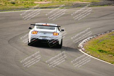 media/Feb-25-2024-Speed Ventures (Sun) [[b9a2a97a4d]]/Mustang Drivers Club/Session 1 (Turns 4 and 5)/